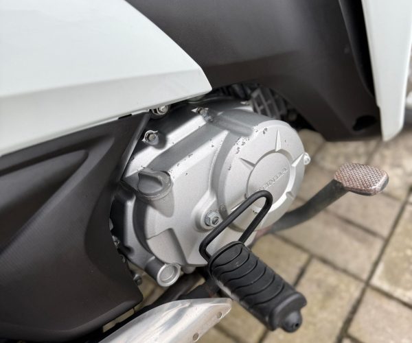 WhatsApp Image 2026-03-23 at 12.22.46