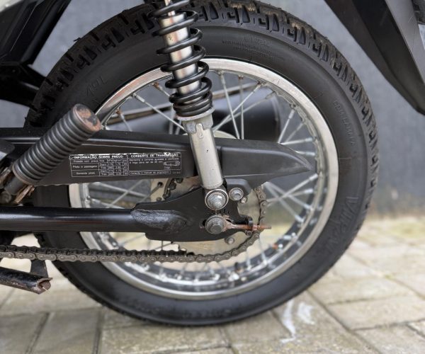 WhatsApp Image 2026-03-23 at 12.22.47 (3)